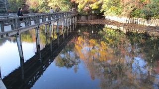 なかなか見られない「かいぼり」中です。