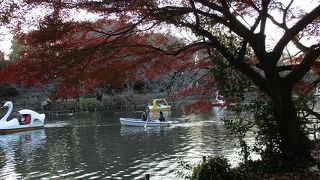 紅葉が綺麗でした。