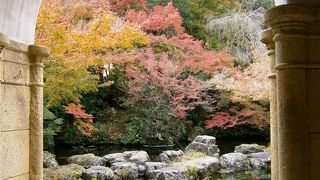 木造建築の美と日本庭園