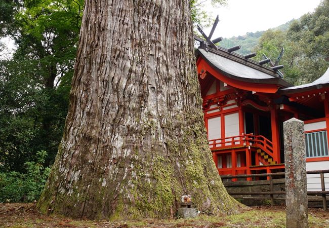 大きく美しい佇まい！