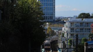 富士山と東急電車がマッチしてます