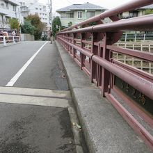 橋の上から富士山を見る人