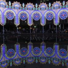 水面が落ち着いたら水鏡…