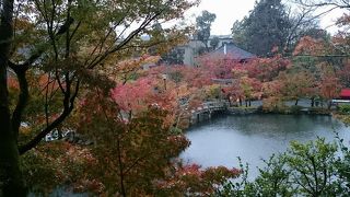 もみじの永観堂