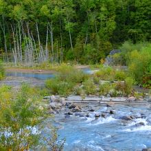 青い池の奥地から