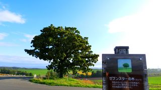 辺りは広大な景色が