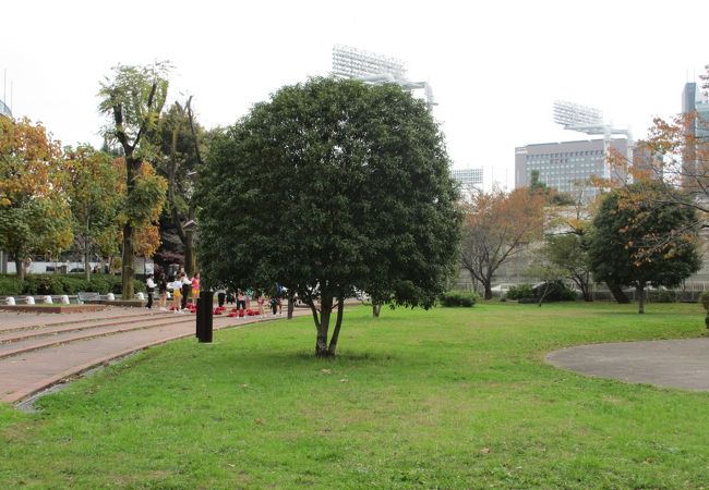 新国立競技場建設地の隣りです