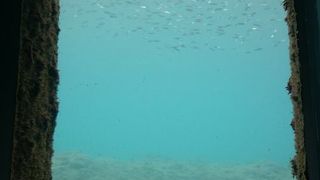 濁っていたので残念