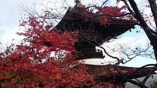 紅葉に彩られた多宝塔