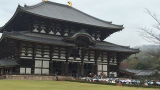 平日の雨の日でもすごい人！