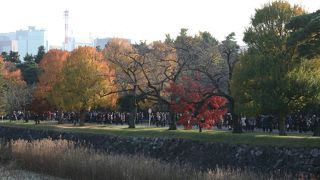 皇居乾通り一般公開（秋季）に行ってきました