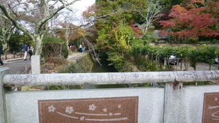 紅葉より桜が良いかもね