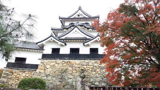 想像よりは小さかったですが立派なお城です。