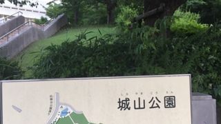 武蔵野の自然林