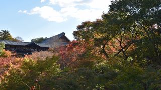 駅近・南部エリアで有名な紅葉スポット！！