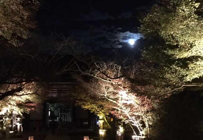 石山寺もみじライトアップ クチコミ アクセス 営業時間 石山寺周辺 フォートラベル 石山寺もみじライトアップ クチコミ アクセス 営業時間 石山寺周辺 フォートラベル