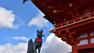 実は、初めてきた！！千本鳥居を歩きたくて★