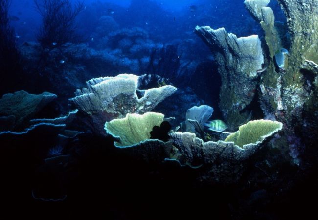 サウザンド諸島