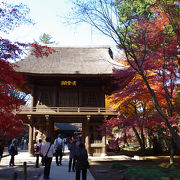 紅葉がきれいな平林寺