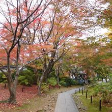 三重塔の南側の道
