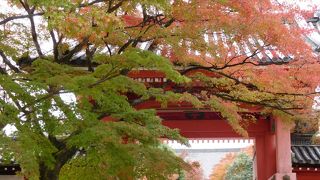 境内の紅葉がとてもきれいで何周も歩きました。