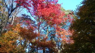 紅葉めぐりのハイキングコース