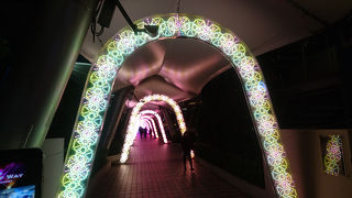 きれい！東京ドームシティのイルミネーション！