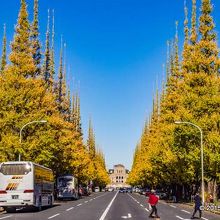 明治神宮外苑 （メイジジングウガイエン）