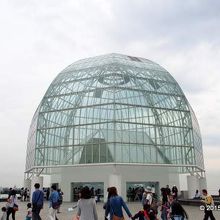 東京都葛西臨海水族園 （トウキョウトカサイリンカイスイゾクエ