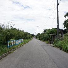 島のメイン道路(西港と東港を結ぶ道)