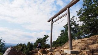 山頂からは巾着田が見下ろせます