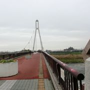 橋もきれいだが、ここからの富士山も美しい。