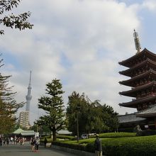 夜ライトアップしたら素敵でしょう〜