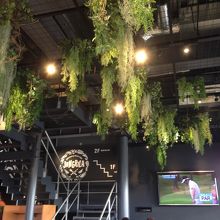 ジャングルっぽい