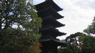 立体曼陀羅が素晴らしいです