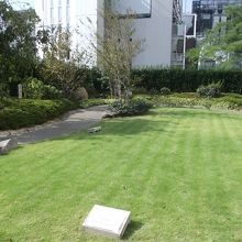 綺麗な屋上庭園