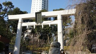 陸軍大将乃木希典を祀る