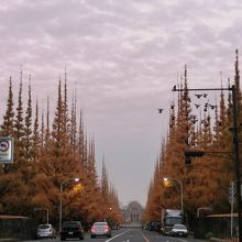 日の出より15分後くらい。日の出と同時くらいが美しいかも。