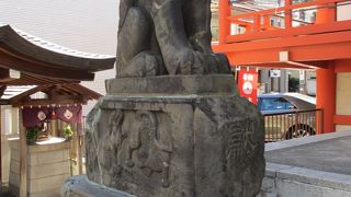 犬ではありません