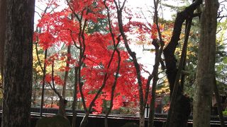 庭園は無料で観光出来ます。