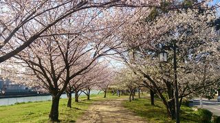 和歌川沿いの親水公園