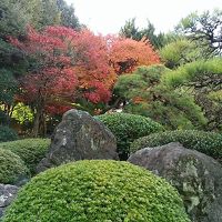 庭は素晴らしい。