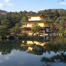 圧倒的な存在感