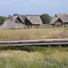 弥生のムラ安国寺集落遺跡公園で撮影