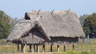 別府地獄・クロスの海・都井岬　(43)　弥生のムラ安国寺集落遺跡公園（あんこくじ　しゅうらく　いせきこうえん）