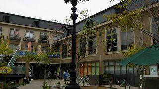 やちにゃんには会えませんでした～