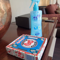 ホテルでも蚊取り線香炊いてくれましたが、自分たちでも持参。