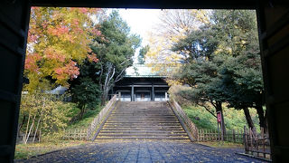 落ち着いた美しさ