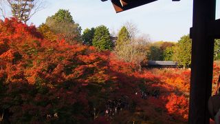 東福寺三名橋の一つ。