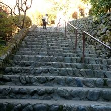 リフトにいく階段高尾山の階段で一番の難所
